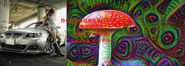 ECSTASY Волосово