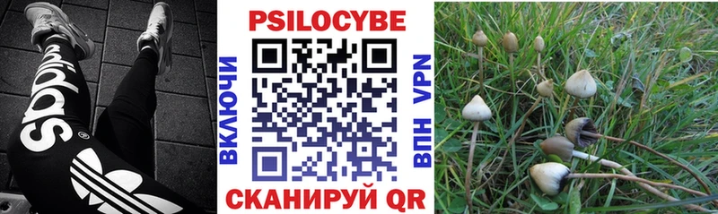 Галлюциногенные грибы мицелий  Киров 